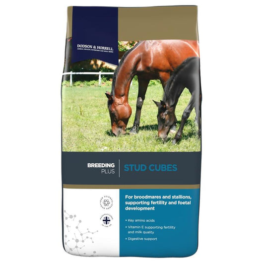 Dodson & Horrell Stud Cubes 20kg Dodson & Horrell