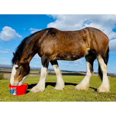 Dallas Keith Equine Flexi Tub For Digestion 12.5kg Dallas Keith