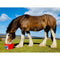 Dallas Keith Equine Flexi Tub For Digestion 12.5kg