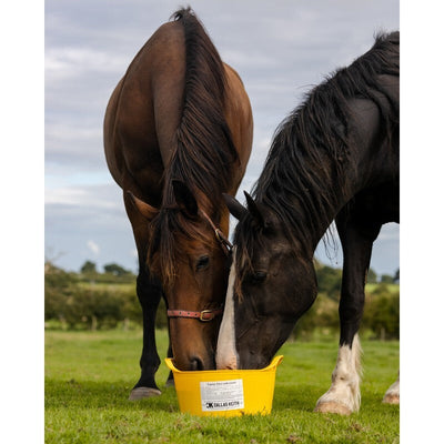 DK Equine Flexi Tub Garlic 12.5kg Dallas Keith