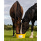 DK Equine Flexi Tub Garlic 12.5kg