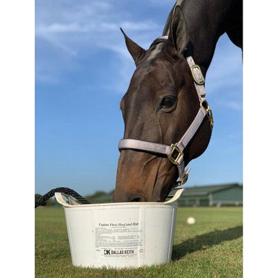 DK Equine Flexi Tub Hoof and Hide 12.5kg Dallas Keith