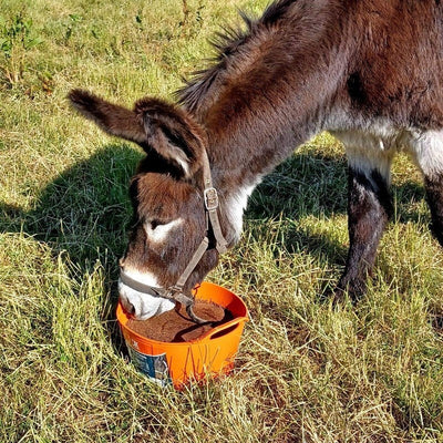 DK Equine Flexi Tub Turmeric 12.5kg Dallas Keith