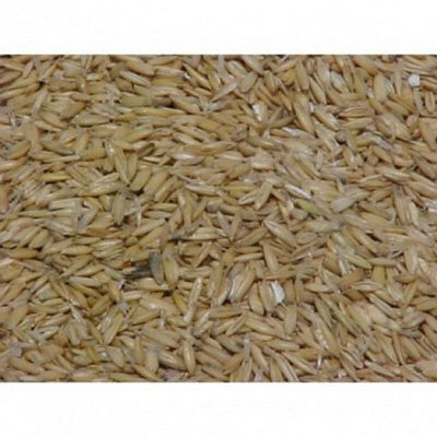 Friendship Estates Whole Oats 20kg Oats