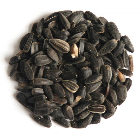 Hutton Mill Black Sunflower Seed 13kg Hutton Mill