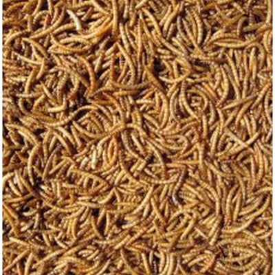 Hutton Mill Dried Mealworms 1kg Hutton Mill