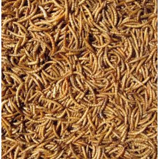 Hutton Mill Dried Mealworms 1kg Hutton Mill