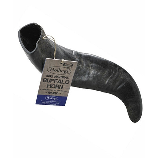 Hollings Buffalo Horn Jumbo Dog Chew x 8 Display Box Hollings