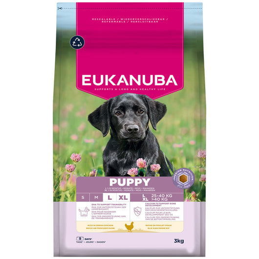 Eukanuba Puppy Large Breed Chicken 3 kg x 3 Eukanuba