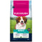 Eukanuba Adult Small Medium Breed Lamb & Rice 3 kg x 3