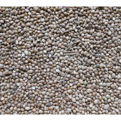 Johnston & Jeff Hemp Seed 12.5kg Johnston & Jeff