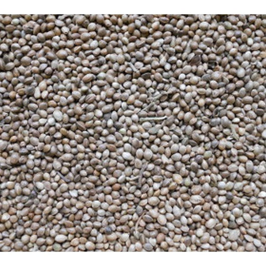 Johnston & Jeff Hemp Seed 12.5kg Johnston & Jeff