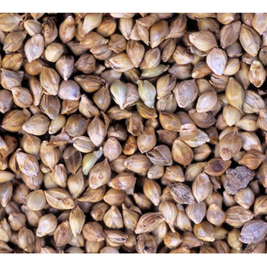 Johnston & Jeff Japanese Millet Seed 12.5kg Johnston & Jeff