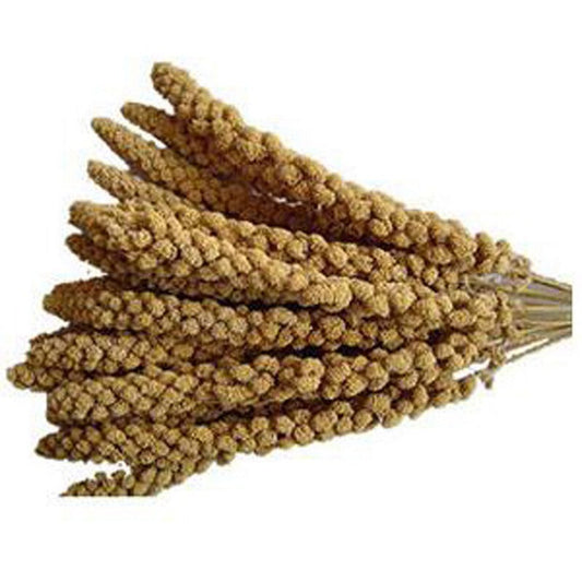 Johnston & Jeff Millet Spray Bird Treat 15kg Johnston & Jeff