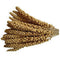 Johnston & Jeff Millet Spray Bird Treat 15kg
