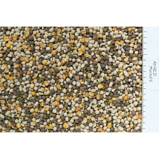 Johnston & Jeff Mixed Pulses 12.5kg Johnston & Jeff