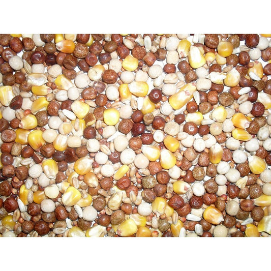 Johnston & Jeff All Rounder Pigeon Corn 20kg Johnston & Jeff
