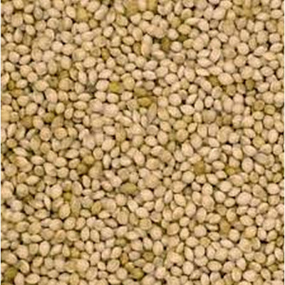 Johnston & Jeff French White Millet Seed 20kg Johnston & Jeff