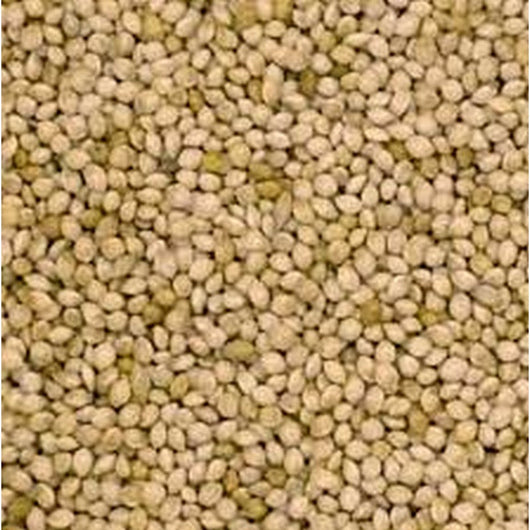 Johnston & Jeff French White Millet Seed 20kg Johnston & Jeff