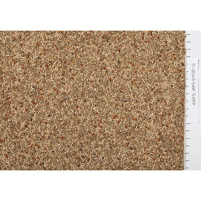 Johnston & Jeff Expert Budgerigar Seed 3kg Johnston & Jeff