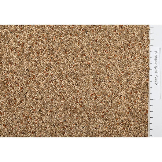 Johnston & Jeff Expert Budgerigar Seed 3kg Johnston & Jeff