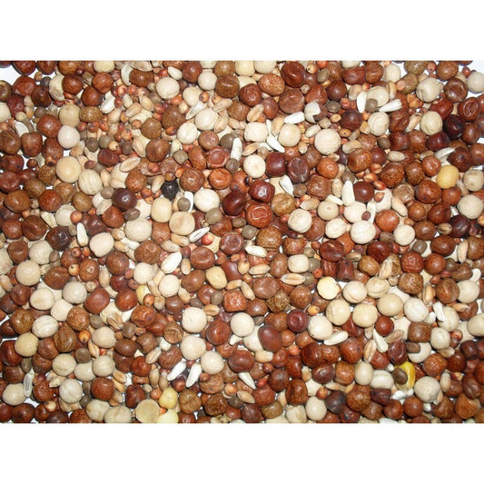 Johnston & Jeff Young Bird No Maize Pigeon Corn 20kg Johnston & Jeff