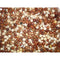 Johnston & Jeff Young Bird No Maize Pigeon Corn 20kg