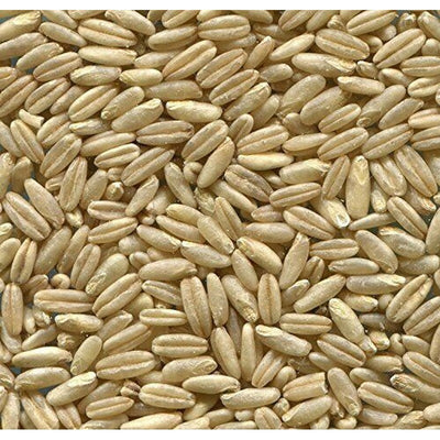 Johnston & Jeff Naked Oats 20kg Johnston & Jeff