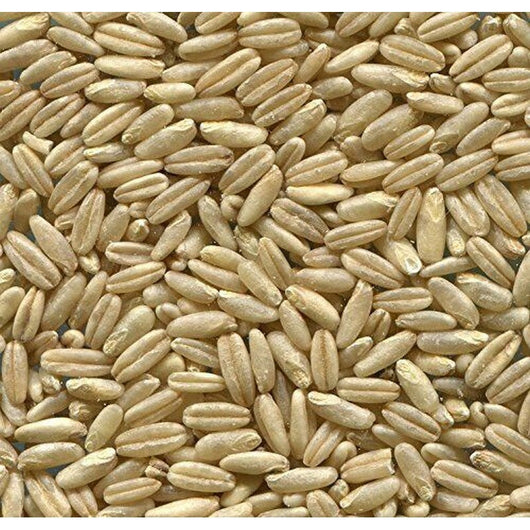 Johnston & Jeff Naked Oats 20kg Johnston & Jeff
