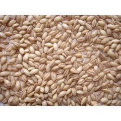 Johnston & Jeff Whole English Barley 20kg Johnston & Jeff