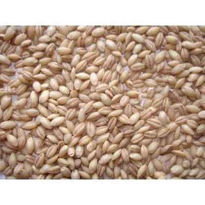 Johnston & Jeff Whole English Barley 20kg Johnston & Jeff
