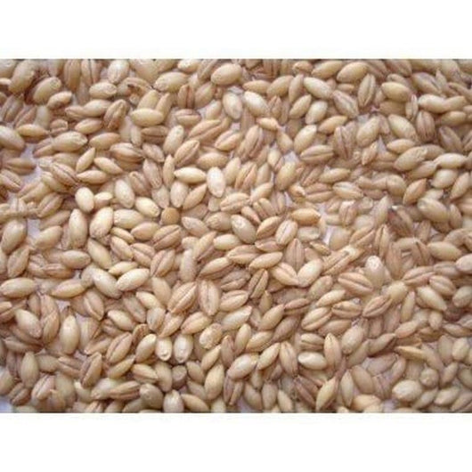 Johnston & Jeff Whole English Barley 20kg Johnston & Jeff