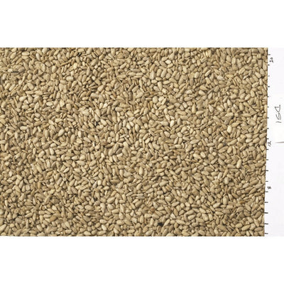 Johnston & Jeff White Sunflowerseed 10kg Johnston & Jeff