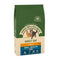 James Wellbeloved Adult Cat Oral Health Turkey 10kg