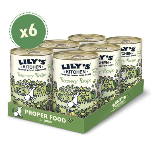Lilys Kitchen Recovery Recipe Tins 400g x 6 Lily's Kitchen