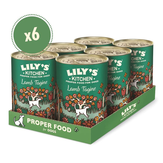 Lilys Kitchen Lamb Tagine Tins 400g x 6 Lily's Kitchen
