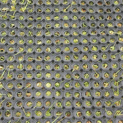 Earlswood Ground Ring Mat 1500 x 1000 x 23mm Stanbridge