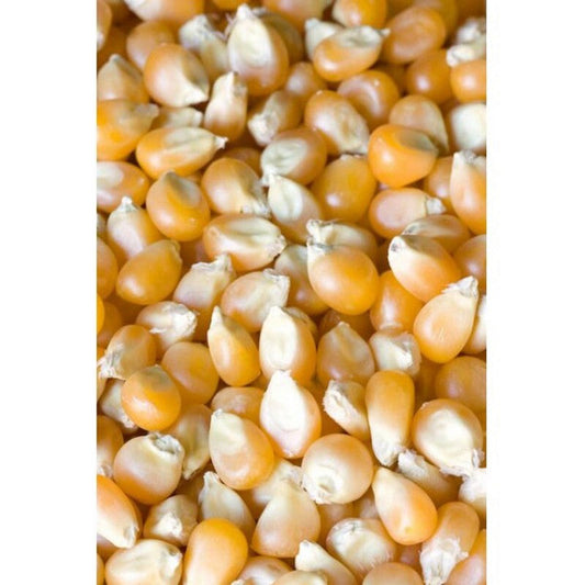IAnson Whole Maize 25kg Maize