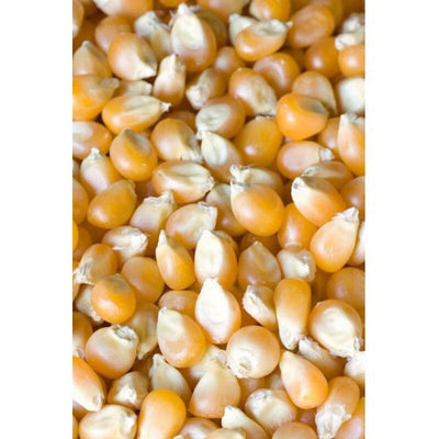 IAnson Whole Maize 25kg Maize