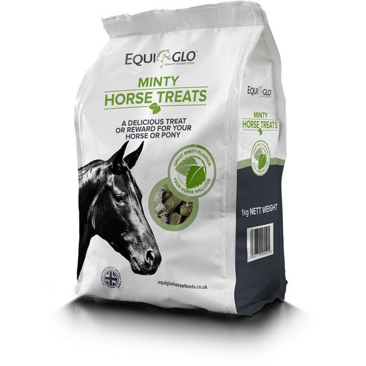 Equiglo Horse Treats & Herbs 1kg Mr Johnsons