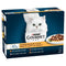 Gourmet Perle Connoisseurs Duo Meat Mini Fillets in Gravy Pouches 85g x 12 x 4