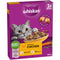 Whiskas Dry 1+ Adult Chicken 300g x 6
