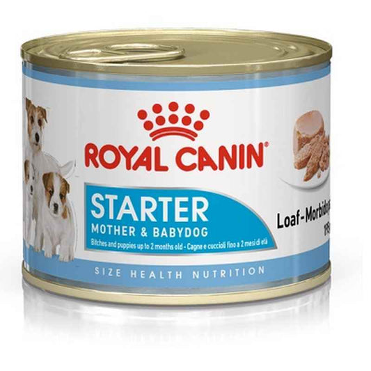 Royal Canin Starter Mousse Mother & Baby 195g x 12 Royal Canin