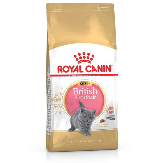 Royal Canin British Shorthair Kitten 2kg Royal Canin