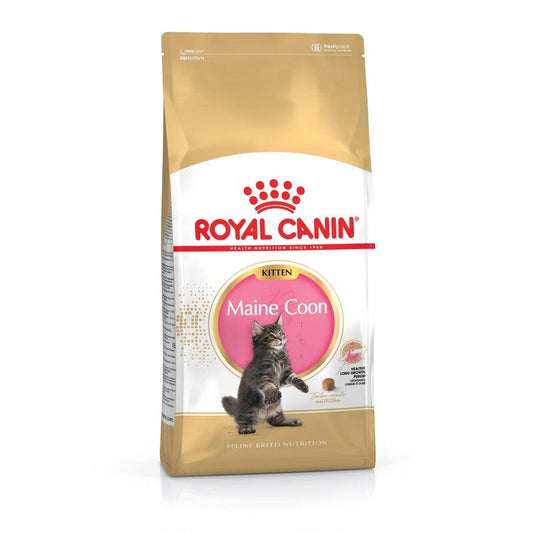 Royal Canin Maine Coon Kitten 2kg Royal Canin