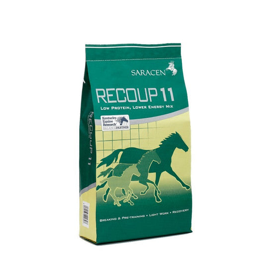 Saracen Recoup 11 20kg Saracen