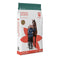 Saracen Essential Balancer 20kg