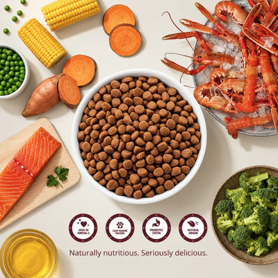 Scamp & Paw Everyday Lobster kibble with salmon, sweet potato and vegetables