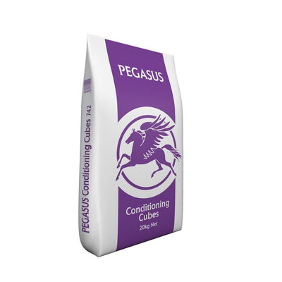 Spillers Pegasus Conditioning Cubes 20kg Pegasus