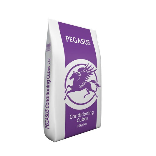 Spillers Pegasus Conditioning Cubes 20kg Pegasus